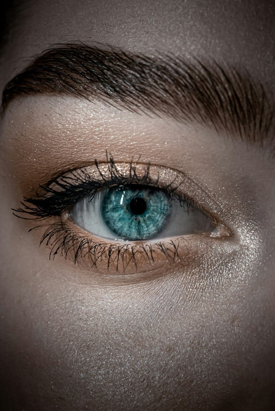 Eyelash and brow treatment close-up (photo: Egor Vikhrev, Unsplash)